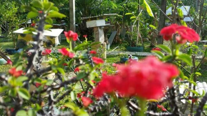 Trigona Chalet Hotel Marang Buitenkant foto